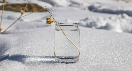 Glass cup with cold water on white snow.の写真素材