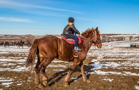 A horse with a saddle with a little rider in nature.National Kokpar Game.の写真素材