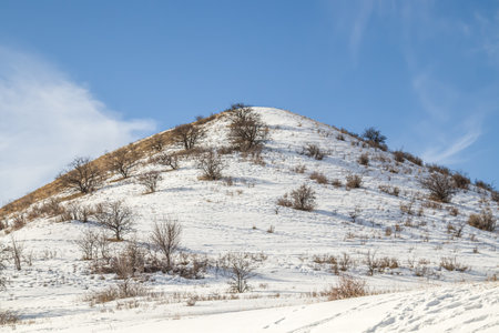 Hills in the foothills in winter in the snow.の写真素材