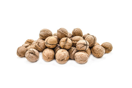 Walnuts in shells isolated on white background.Photo with shallow depth of field.の写真素材