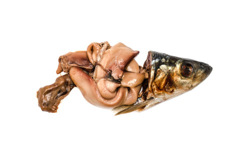 Guts and head and salted herring fish isolated on white background.の写真素材