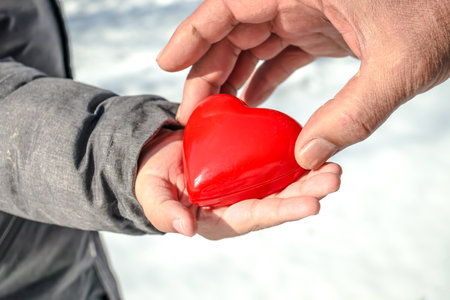 A child holds in his hands a red heart in the snow.の写真素材