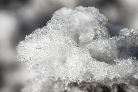 Dirty melting snow in the city in spring close-up.の写真素材