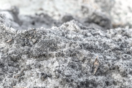 Dirty melting snow in the city in spring close-up.