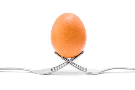 Chicken egg on metal forks isolated on white background close-up.の写真素材