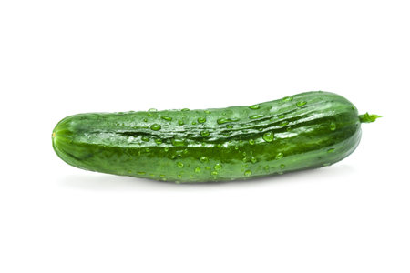 Greenhouse grown cucumber with water droplets isolated on white background.の写真素材