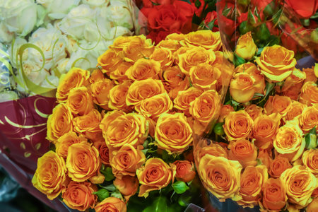 Rose flowers are sold in a flower shop.の写真素材