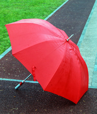 Wet forgotten umbrella in the city park after the rainの写真素材