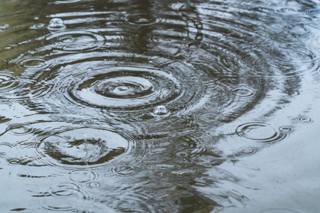 Raindrops over the surface. Bubbles in a rain puddle during a thunderstorm.の写真素材