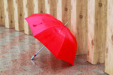 Wet forgotten umbrella in the city park after the rainの写真素材