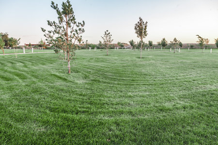 Trimmed lawn in the park in summer.Blur.の写真素材