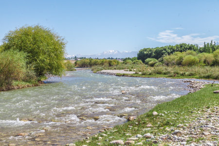 Mountain river valley summer landscapeの写真素材