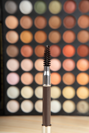 Brush for makeup on background of eye shadow. Selective focusの写真素材
