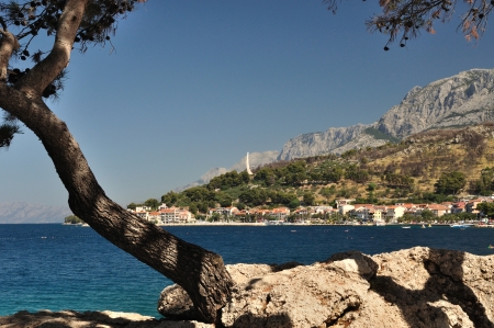 View of mountain Biokovo with monument Seagull s wings behind tree  Podgora, Croatiaの写真素材