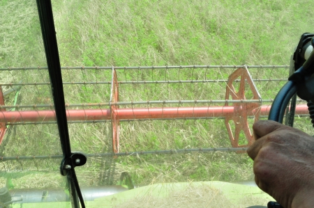 Man driving the combine harvester in the wheat field during harvesting の写真素材