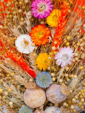 Closeup of a bouquet of colorful dried flowersの写真素材