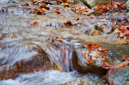 Autumn creek with rocks and foliage in mountain