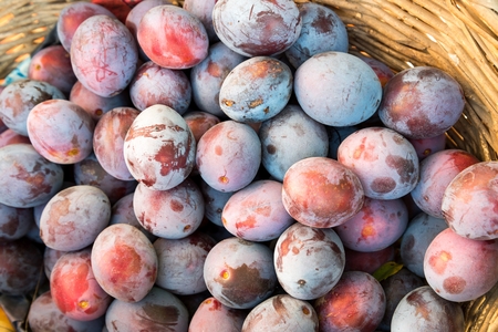Fresh ripe plums texture, background in a basketの写真素材