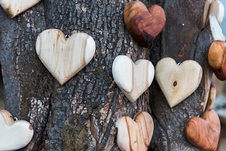 Some wooden heart shapes on tree trunkの写真素材