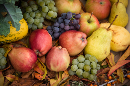 Heap of fresh, colorful autumn fruits - apple, pear, grapeの写真素材