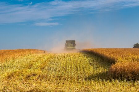 Back view of modern combine harvester in the wheat field during harvesting. Agriculture and Farming Collectionの写真素材
