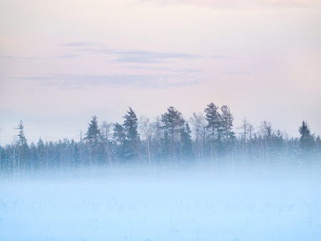 Winter field with trees, fog and colorful evening skyの写真素材