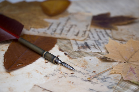 Still life. View of old handwritten notes on stained papers closeup. Dried leaves. Quill.の写真素材