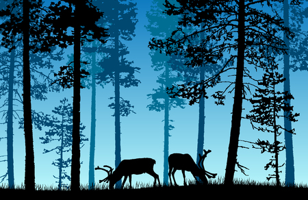 Vector landscape of two deer in a forest with blue misty background.のイラスト素材