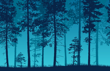Seamless blue vector forest landscape with coniferous trees and grassy land.のイラスト素材