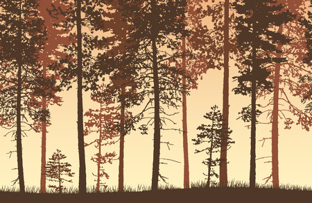 Seamless brown and yellow vector forest landscape with coniferous trees and grassy land.のイラスト素材