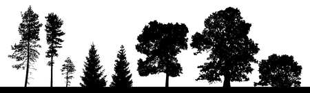 Vector silhouettes set of coniferous and deciduous trees ans bushes.のイラスト素材