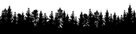 Seamless forest vector landscape with coniferous trees in black and white.のイラスト素材