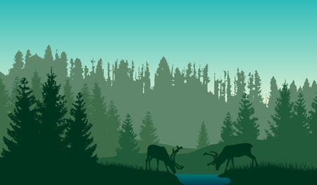 landscape of two deer in a green forest with blue background.のイラスト素材