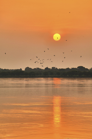 Beautiful colorful sunset over Dal Lake with a flock of birds taken from Nishat Bagh gardens in Srinagar, Kashmir, India.の写真素材