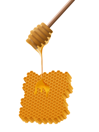 Front view of beautiful realistic wooden honey stick with honey flowing on a honeycomb.のイラスト素材