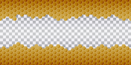 Hexagonal realistic honeycomb seamless texture on transparent background.のイラスト素材