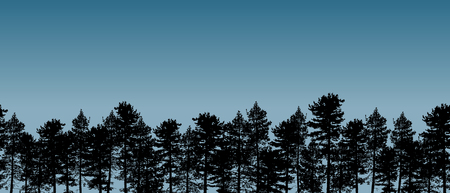 Beautiful realistic widescreen seamless vector forest on blue background.のイラスト素材