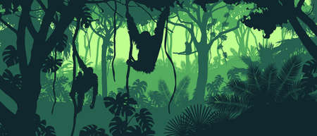 Beautiful vector landscape of a rainforest jungle with orangutan monkeys and lush foliage in green colors.のイラスト素材