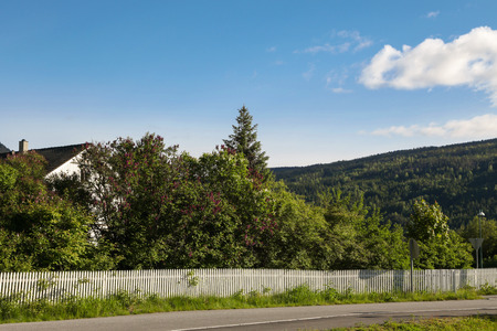 Garden in a small village on the Sognefjord, Norwayの写真素材