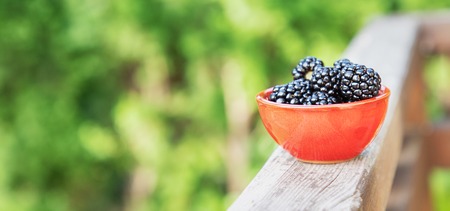 Ceramic bowl with ripe blackberries on a green nature background. Free spaceの写真素材