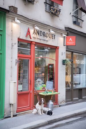 Paris, France. 30 March, 2018. Two beautiful dogs waiting for their owner in front of the cheese marketのeditorial素材