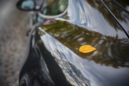 Beautiful yellow autumn leaf on a car windshield. Free space