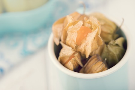 Winter cherries or physalis in enameled cup on a light background. Toned photo. Copy spaceの写真素材