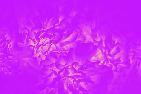 Bright pink purple fuchsia color with flower pattern. Abstract backgroundの写真素材
