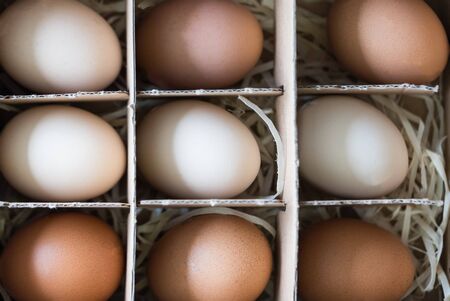 Fresh raw white and brown chicken eggs in a cardboard box. Top view. Eco friendly and healthy...