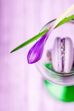Spring crocus flower and french violet lavender macaroon or macaron in a glass on pale violet purple background. Top viewの写真素材