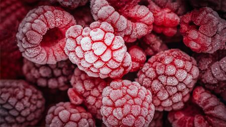 Ripe red frozen raspberries background. Close up, 16:9 panoramic formatの写真素材