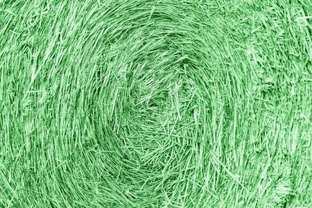 Green background with dry grass pattern, abstract backgroundの写真素材