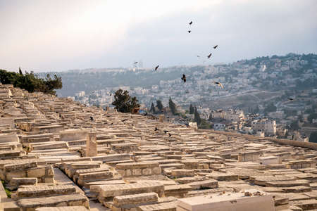 September 14, 2019. Jerusalem, Israel. Ancient jewish cemetery on the Mount of Olives. Evening soft lightのeditorial素材