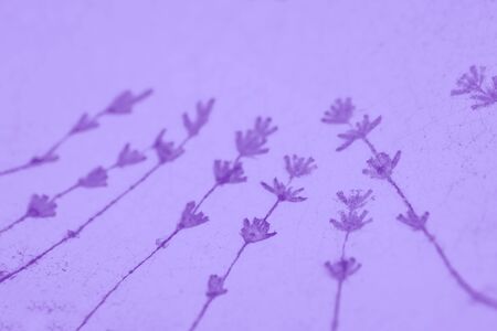 Pale violet purple background with lavender flowers pattern, copy space
